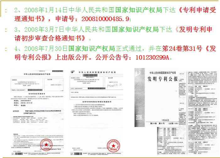 开创替代能源新局面