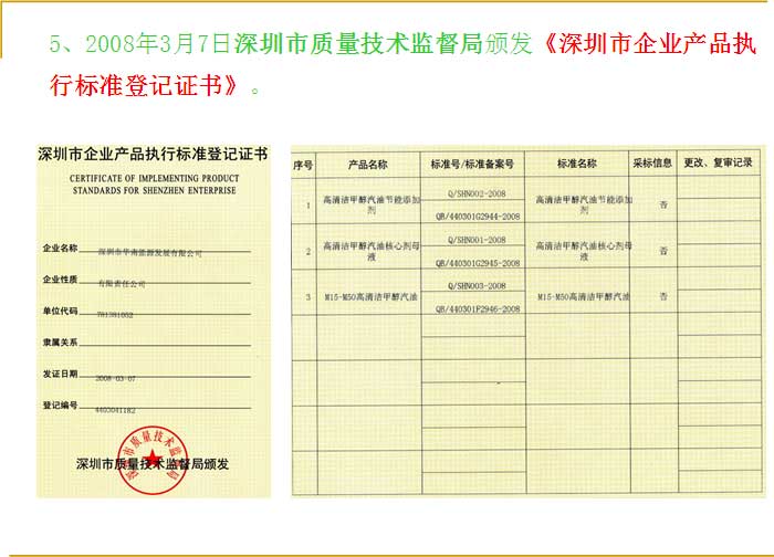开创替代能源新局面